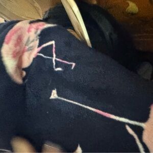 Vera Bradley Floral Blanket - Pink and Blue pink flamingo